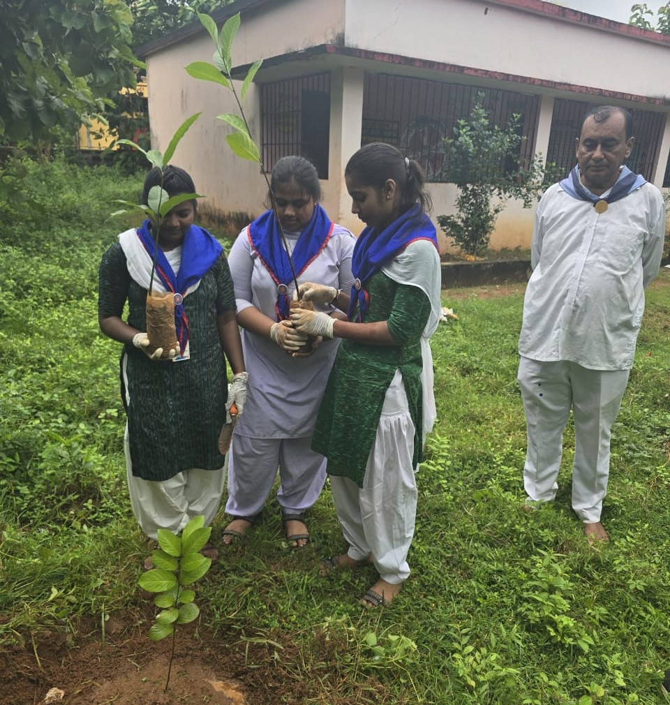 Cleanliness Drive And Seva For Maintenance Of Plants Already Planted Along With Plantations